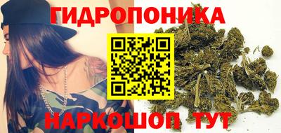 прущие крисы Лесосибирск