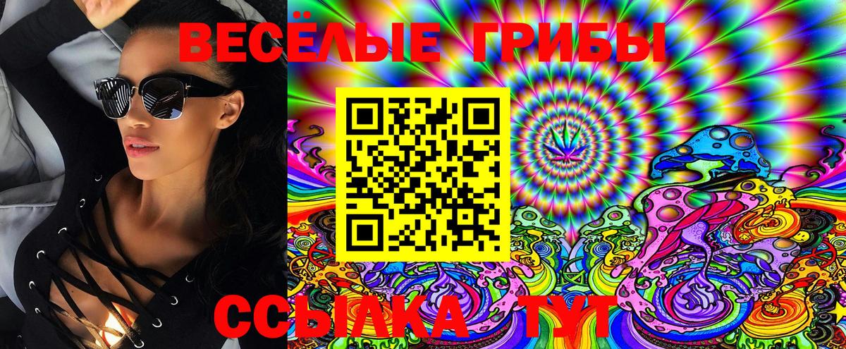Галлюциногенные грибы Psilocybe  Вход с VPN  Заводоуковск 